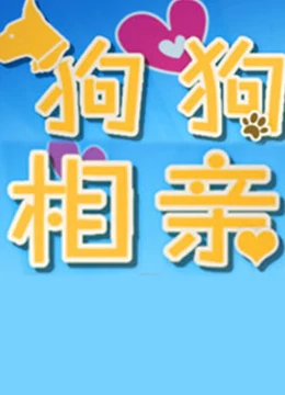 狗狗来相亲